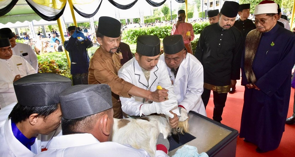 MAJLIS IBADAH KORBAN SUNAT KEBAWAH DULI YANG MAHA MULIA PADUKA SERI BAGINDA SULTAN DAN YANG DI-PERTUAN NEGARA BRUNEI DARUSSALAM DAN KEBAWAH DULI YANG MAHA MULIA PADUKA SERI BAGINDA RAJA ISTERI PENGIRAN ANAK HAJAH SALEHA SERTA KERABAT BAGINDA TAHUN 1447