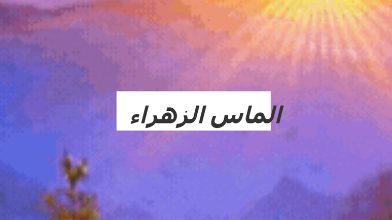 Sekolah Ugama Raja Isteri Fatimah